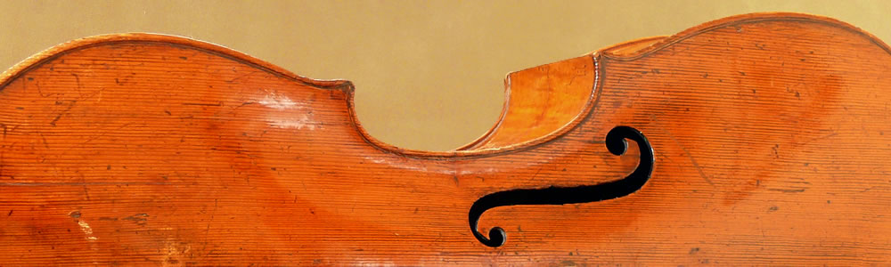 Picture of half a cello body