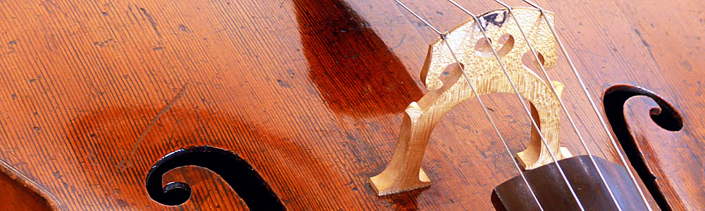 Closeup of a cello bridge