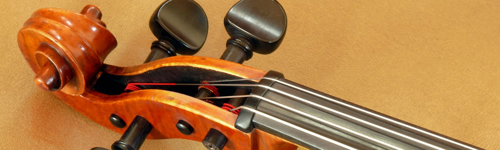 Angled closeup of a cello pegbox